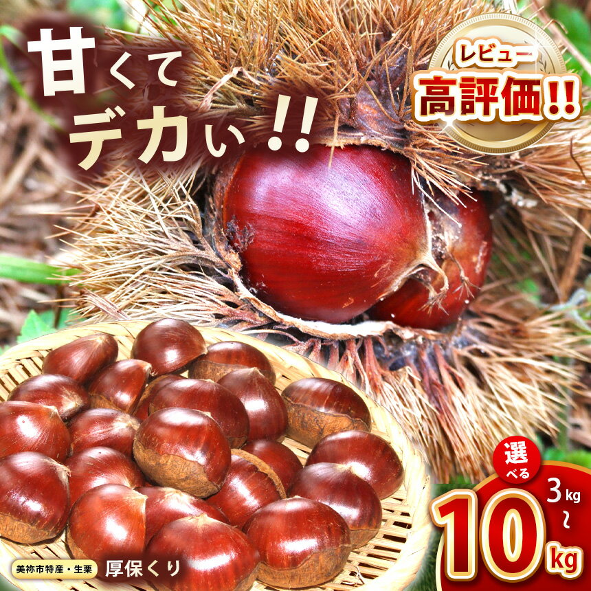 【ふるさと納税】 甘くて デカい ! 厚保くり ( 生栗 ) 3kg 5kg 10kg 山口美祢産 先行予約 ＜2025年10月上旬～11月中旬 発送予定＞ 2Lサイズ ｜ 山口 美祢 栗 くり 厚保 大きい 甘い 大玉 特産品 焼き栗 栗ご飯 生栗 期間限定 季節限定 先行予約 3kg 5kg 10kg