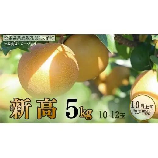 新高 約5kg (10～12玉)【2026年10月上旬発送開始】(茨城県共通返礼品：大子町)