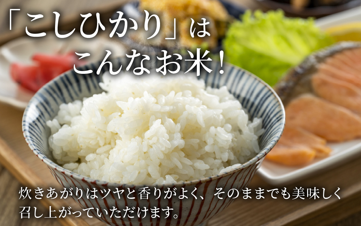 【令和8年産】【有機JAS認証米】南さんちのこしひかり 4kg（2㎏×2袋）＜精米＞ ※2026年9月下旬以降順次発送予定 [A-075003]