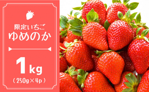 【2026年1月～発送】【限定いちご】 ゆめのか  1kg（250g×4p）/ いちご イチゴ 苺 フルーツ 果物 くだもの / 南島原市 / 長崎県農産品流通合同会社 [SCB040]