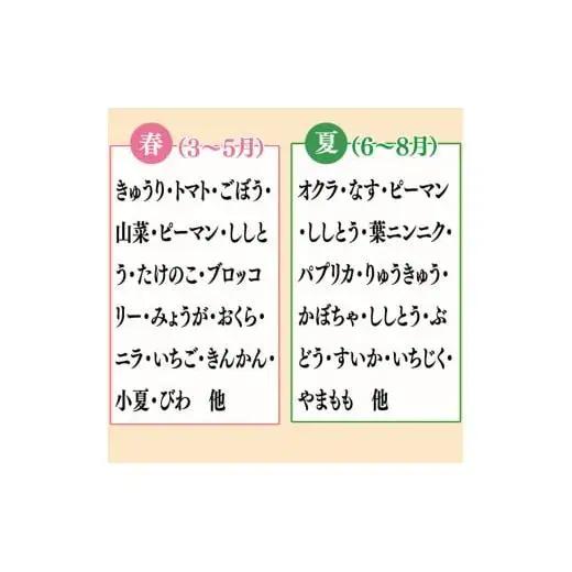 【 野菜 】 野菜果物セット定期便 6回 10～13 種類 セット