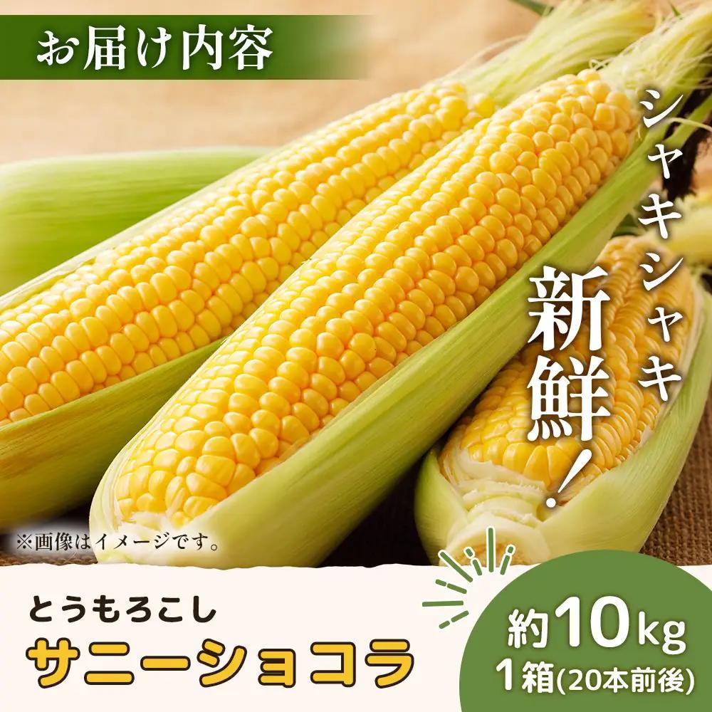 【2026年度発送分】上原農場直送 有機栽培とうもろこし (サニーショコラ) 約10kg 約20本前後【6602001】
