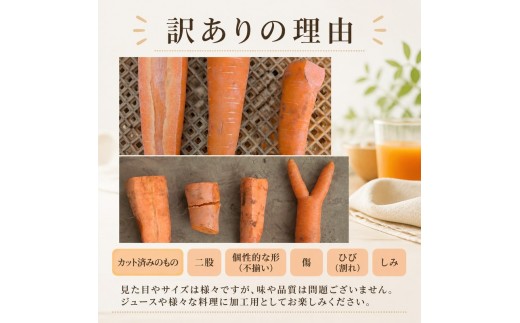 訳あり にんじん 約15kg 人参 ニンジン にんじん 15キロ 野菜 訳アリ 人参 ニンジン わけあり にんじん 訳有 人参 ワケアリ にんじん 加工用 ニンジン 家庭用 人参 不揃い にんじん 規