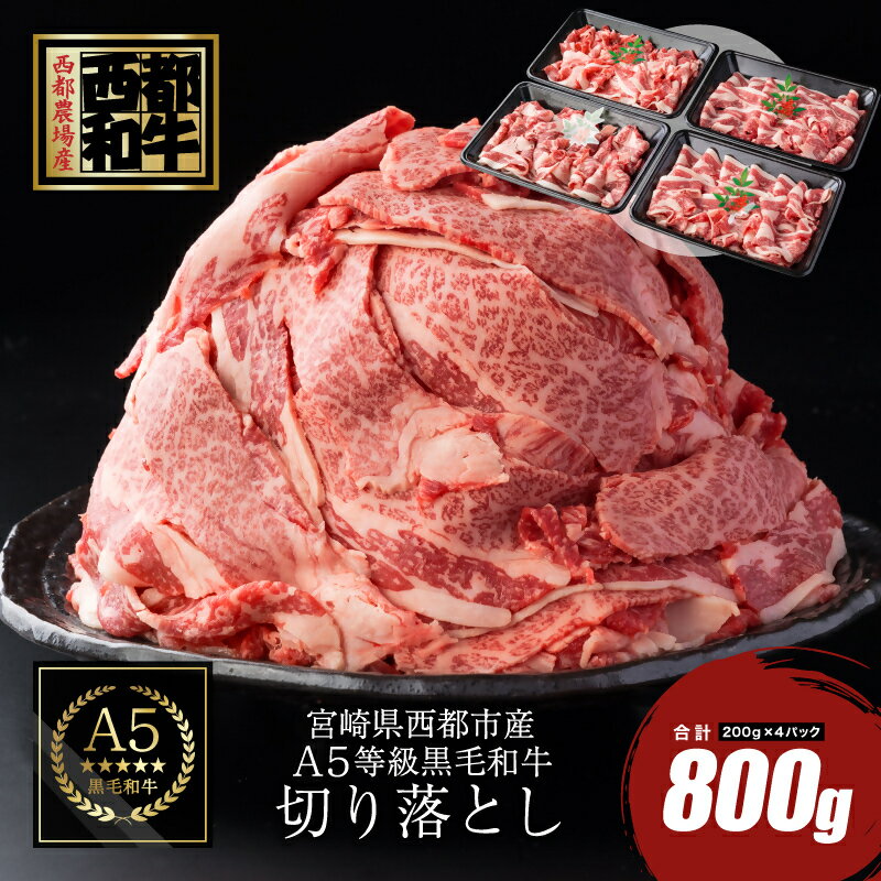 【ふるさと納税】宮崎県産『黒毛和牛』切り落とし【800g】200g×4P〈1.2-19〉カミチクファーム 国産 牛肉 切り落とし 小分け 送料無料＜1.2-19＞