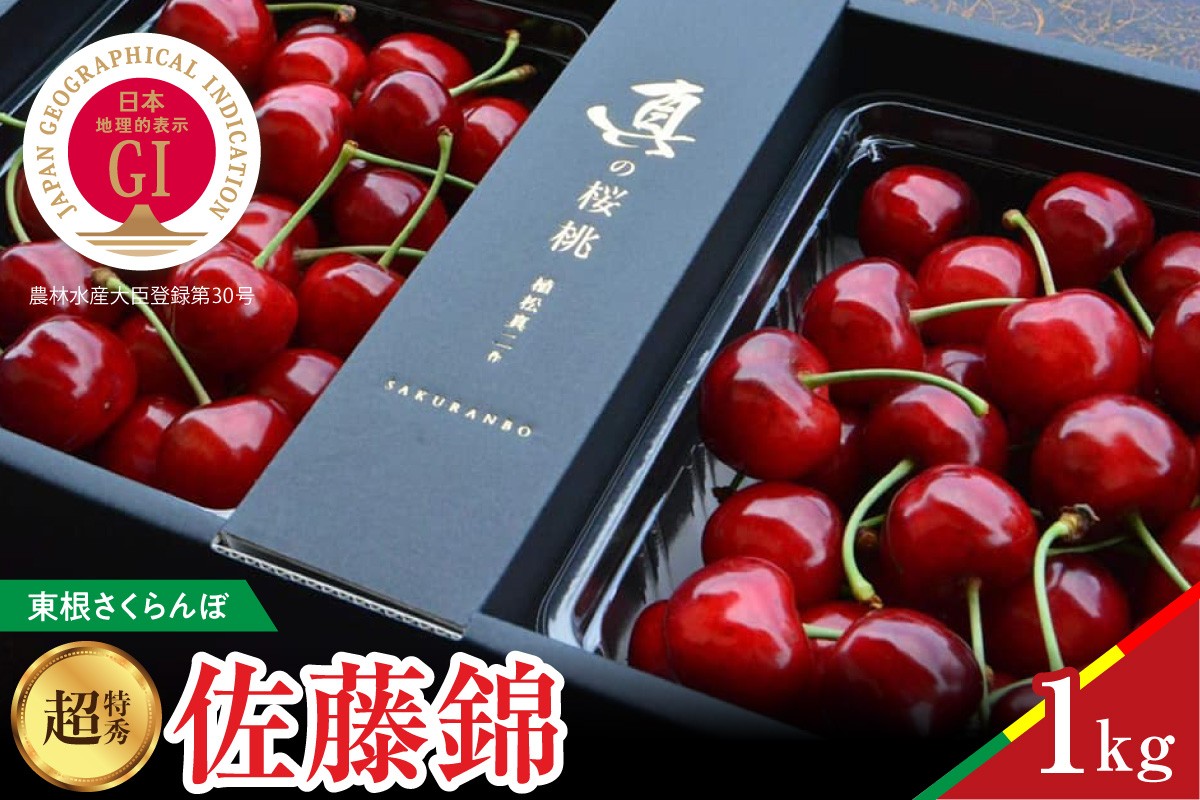 
                  【2027年産 先行予約】 GI東根さくらんぼ 真の桜桃 佐藤錦 超特秀 1kg 山形県 東根市 hi062-049-r9 ふるさと納税 フルーツ 果物 くだもの さくらんぼ サクランボ 佐藤錦 期間限定 取り寄せ グルメ 特産 産地直送
                