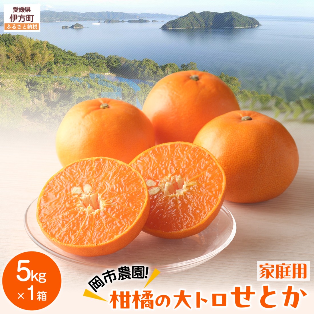 【先行予約】【数量限定】岡市農園！柑橘の大トロせとか5kg×1箱（家庭用）（2027年2月下旬より順次発送） IKTV008