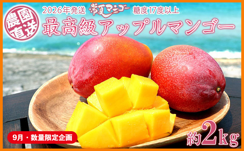 【9月・数量限定企画】【2026年発送】最高級　常夏アップルマンゴー！糖度17度以上　約2kg農園から直送 最高級 先行予約 沖縄 甘味 糖度 濃厚 美味しい お土産 おいしい ギフト とろける甘さ 香り アーウィン 果汁 プレミアム 箱入り 化粧箱入り 見た目 きれい 綺麗