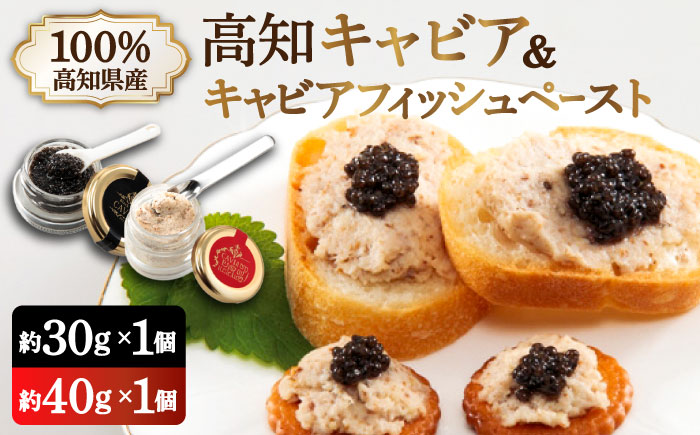 高知産熟成「キャビア キャビアフィッシュペースト」贈答セット 【興洋フリーズ株式会社】 [ATBX011]