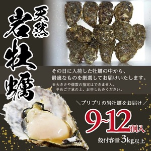 SE0387　天然岩牡蠣　計3kg以上(9～12個入)