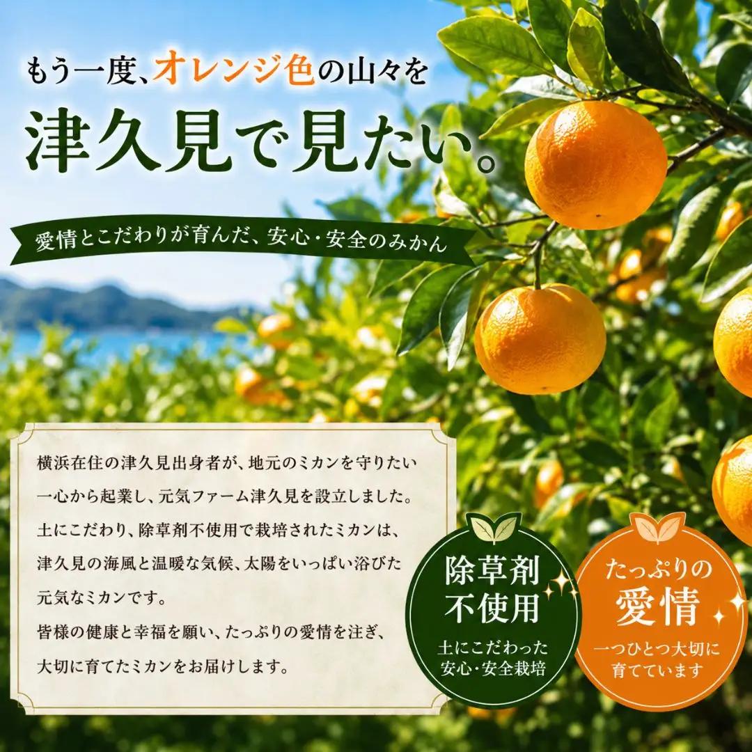 【数量限定】幸福蜜柑ジュース・ジャムセット | みかん 津久見市