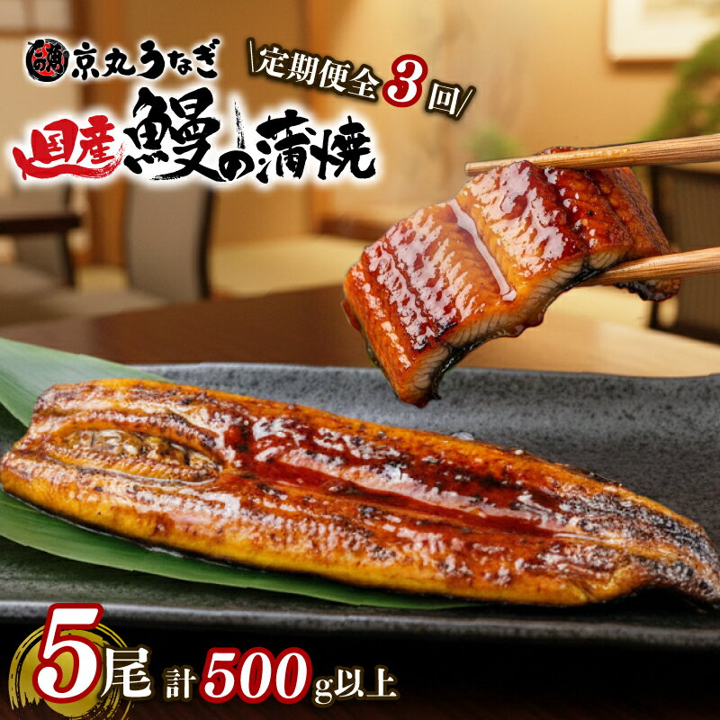 【ふるさと納税】 【3カ月定期便】うなぎ 蒲焼 国産 5尾 計約500g以上 静岡 うなぎ処京丸 蒲焼き unagi 鰻 ウナギ 国産うなぎ かば焼き 鰻蒲焼 うなぎ蒲焼き うな重 冷凍 土用 丑の日 定期便 人気 高級 個包装 小分け プレゼント おすすめ ランキング おいしい贅沢 沼津