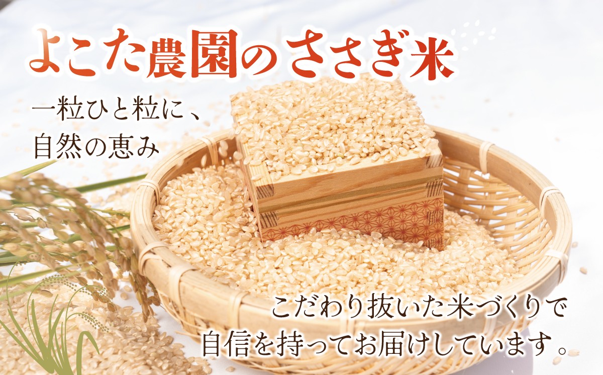 一度食べてリピートされる方も多いです