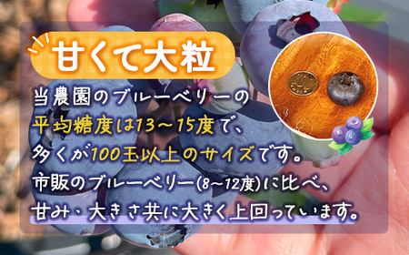 【定期便3カ月】北海道 豊浦町産 冷凍 ブルーベリー 2kg 栽培期間中農薬不使用