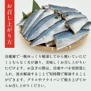 訳あり 無塩 サバ フィレ1.0kg（10枚前後） さば 鯖 切り身 宮城県 石巻市