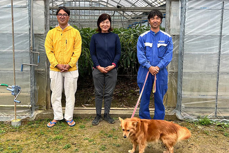 【2024年発送】【令和5年度最優秀賞受賞】縁sファームのアップルマンゴー1kg（特秀）