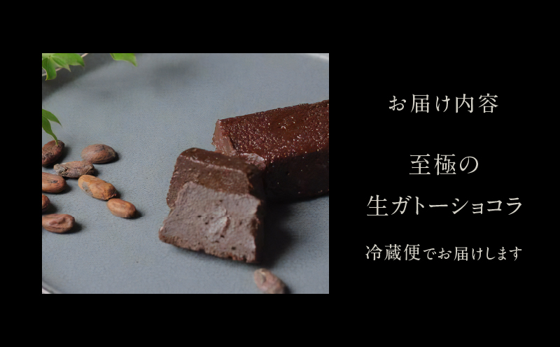チョコレート専門店「MAGIE DU CHOCOLAT」至極の生ガトーショコラ【スイーツ チョコレート チョコレート菓子 焼き菓子 ガトーショコラ 生ガトーショコラ 濃厚 とろける 人気 おすすめ ギ
