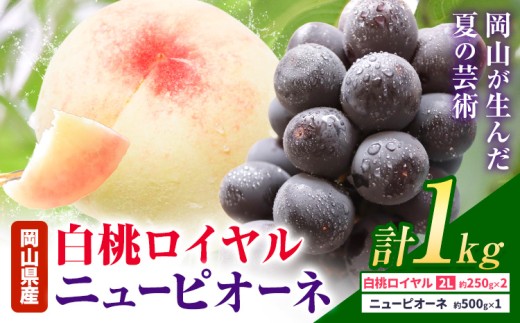 【2026年先行予約】岡山県産 白桃ロイヤル ニューピオーネ 詰合せ 選べる 計1kg 株式会社はちや《2026年7月上旬‐8月下旬頃出荷》岡山県 浅口市 白桃 桃 ぶどう 葡萄 フルーツ ギフト 果物 デザート 国産【配送不可地域あり】