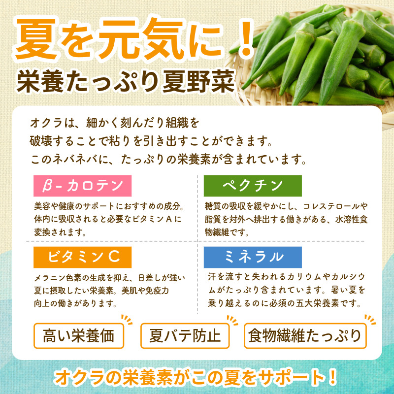 【6月下旬から発送】オクラ 500g 新鮮 朝採れ 選べる 容量 小分け おくら 朝どれ 野菜 夏 夏野菜 旬 サラダ 冷蔵 農地直送 国産 小松島市