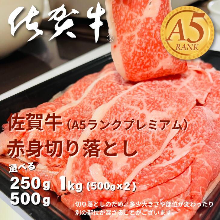 【ふるさと納税】佐賀牛(A5ランクプレミアム) 赤身切り落とし 選べる 250g～1000g ：B160-040