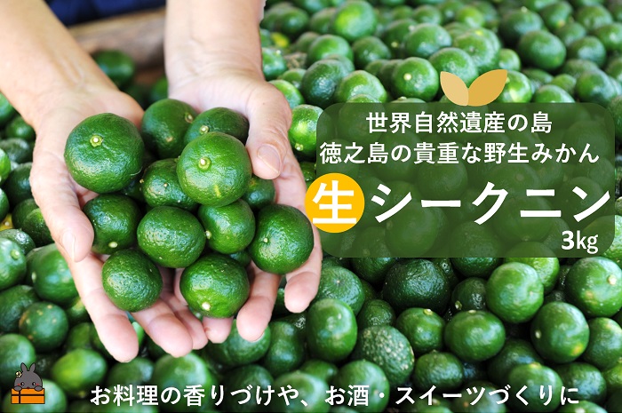 《今が旬！》世界自然遺産の島の貴重な野生みかん 生シークニン（3㎏） ( ヤマシークニン シークニン みかん 柑橘 香り スーパーフード 料理 酒 焼酎 スイーツ 香りづけ 調味料 果汁 徳之島 奄美