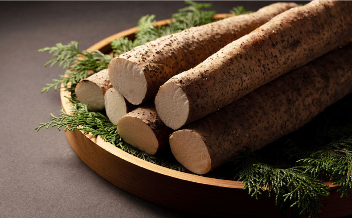 【選び抜いた「粘り」と「香り」】自然薯「九千部朱薯」600g～650g（2本）＜株式会社九千部＞那珂川市 [GAZ001]