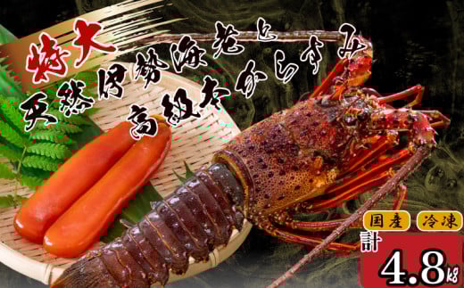 特大伊勢海老 7匹 本からすみ 600g 【 特大サイズ 急速冷凍 えび エビ からすみ カラスミ 珍味 鮮魚 海鮮 魚介 魚卵 刺身 焼き物 汁物 セット ギフト 贈答 贈り物 祝い 歳暮 中元 】 IKY066 【高知県】