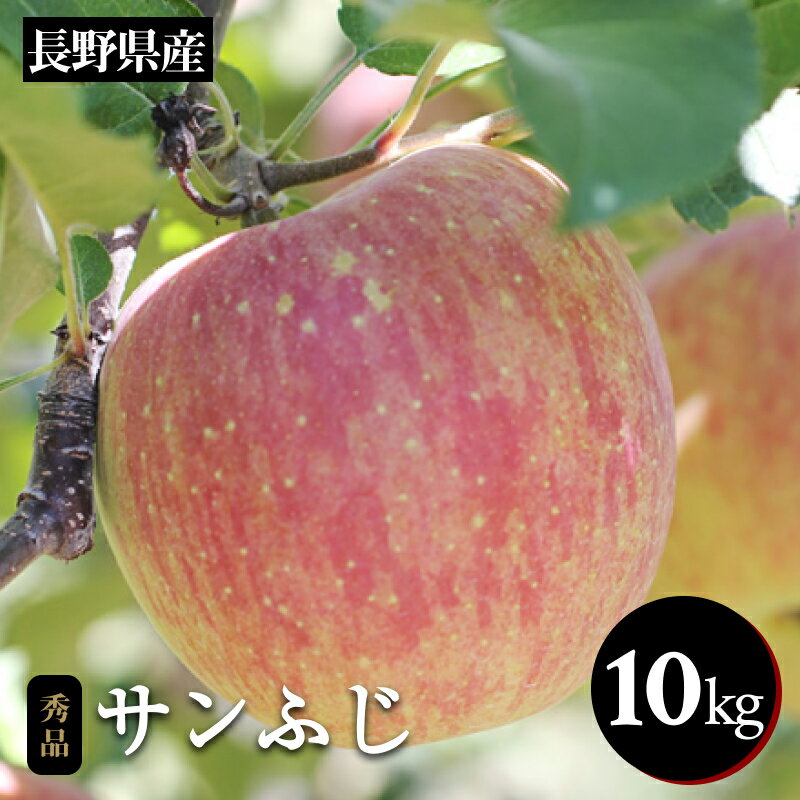 【ふるさと納税】太陽の光をたっぷりと浴びた 長野県産 りんご サンふじ 約10kg 秀品 ＜2025年11月下旬〜12月中旬発送＞ | 果物 くだもの フルーツ りんご リンゴ 林檎 長野県 信州 南信州 飯田市 B34
