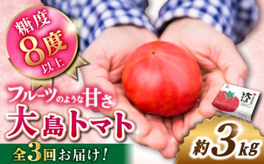 トマト 高糖度 【3月中旬より発送開始】【3回定期便】糖度8度以上！ 大島 トマト 計9kg＜大島造船所 農産グループ＞ [CCK006] 長崎 西海 トマト とまと 大島トマト 高糖度 贈答 定期便 人気 高評価 甘い 野菜 トマト