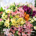 【ふるさと納税】華やかな　アルストロメリア【上級品・生花】花農家直送品A　9月～3月発送　花丈80cm・30本前後〔KS-01〕切り花　切花