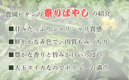 【先行予約】大玉スイカ「祭りばやし777」1玉＆メロン「オルフェ」×2玉 セット 農園ビギン 【0002-0331-01】