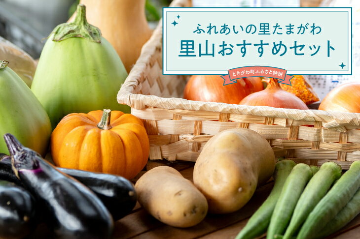 【ふるさと納税】里山おすすめセット