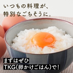 さかもとのたまご「ご来店お持ち帰り用券」合計80個 (10個×8パック)｜坂本養鶏 大山の麓で育ったさかもとのたまご 赤玉卵 玉子 鶏卵 伊勢原市 赤玉卵 玉子 生卵 国産 TKG タマゴ 新鮮 大山