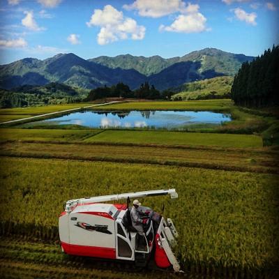 ふるさと納税 村上市 【令和7年産米】新潟県岩船産　棚田米コシヒカリ6kg　A4184 |  | 01