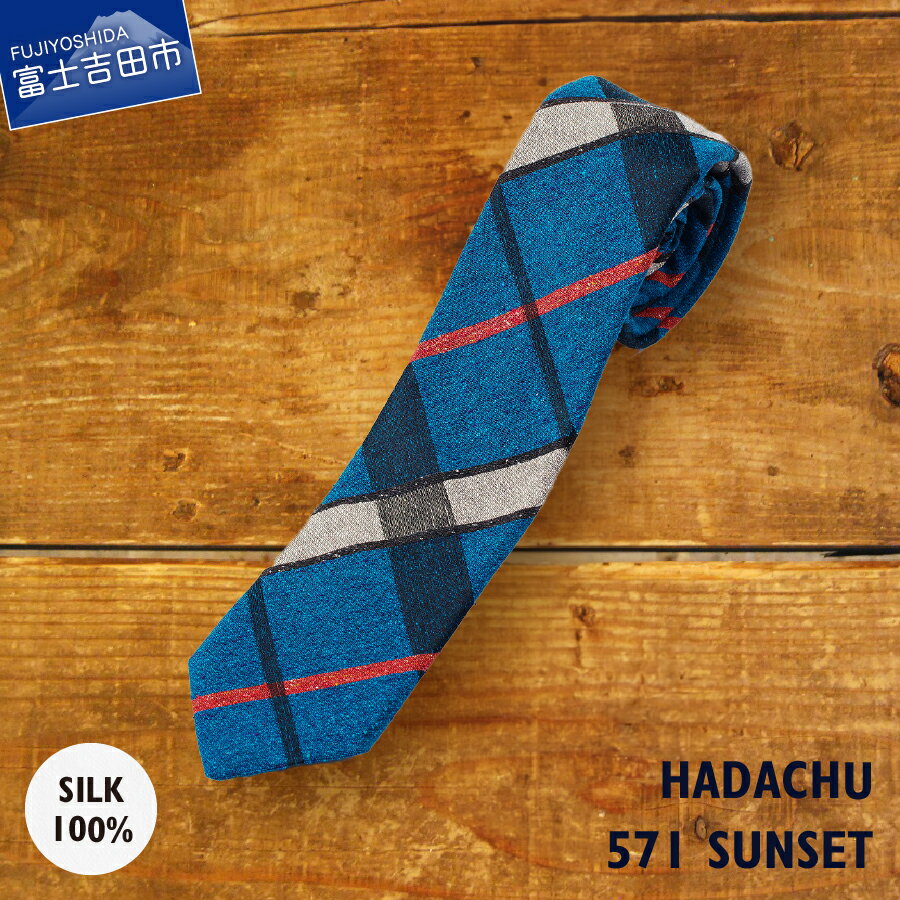 【ふるさと納税】 ネクタイ シルク メンズ 男 高級 上品 スーツ HADACHU シルクネクタイ NTM571 ギフト