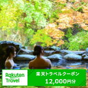 【ふるさと納税】千葉県多古町の対象施設で使える楽天トラベルクーポン 寄付額40,000円