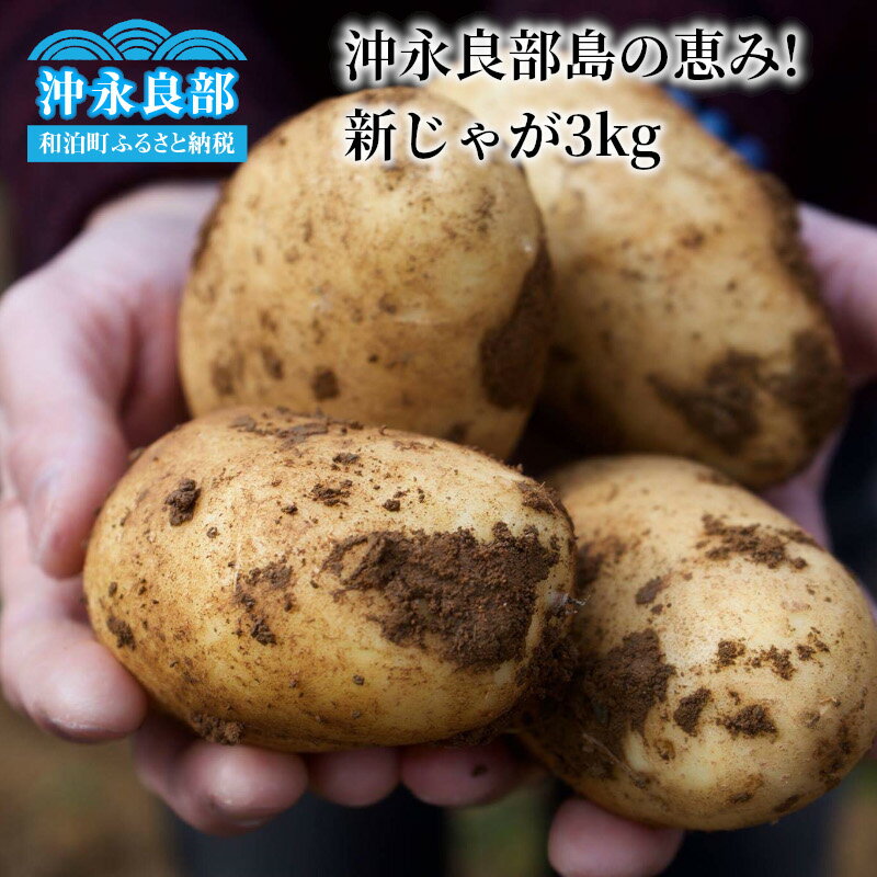【ふるさと納税】【2026年先行予約】 沖永良部島の恵み 新じゃが 3kg 【2月下旬～4月下旬】 じゃがいも ポテト 先行予約 数量限定 野菜 新鮮ミネラル 国産 沖永良部 島の恵み工房 サロンバー エスポワール ふるさと納税 鹿児島 和泊町 おすすめ ランキング プレゼント ギフト
