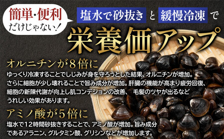 宍道湖産冷凍しじみLサイズ（殻幅10㎜～12㎜）240ｇ×10袋