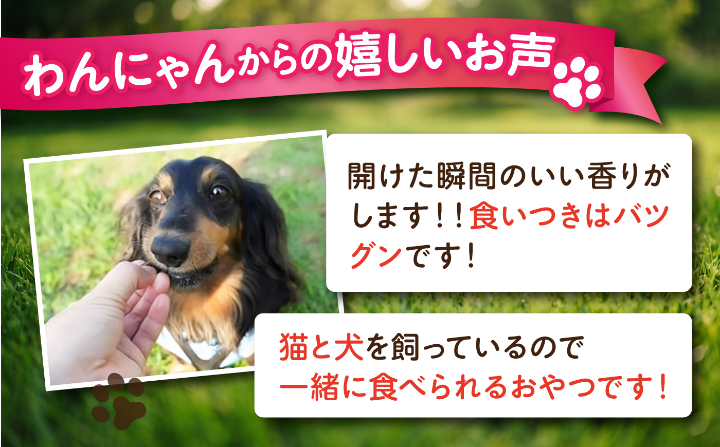 【全12回定期便】国産 鶏むね肉ジャーキー（80g×2袋）【ペットフードYM japan】 [AKEX038]