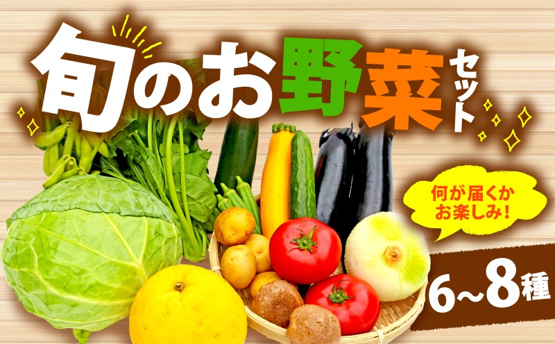 野菜 詰合せ 6～8種 おまかせ 旬 まんさいかん ボックス 静岡県 藤枝市 [PT0034-000013]