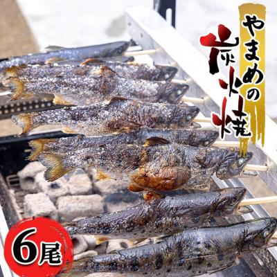 ふるさと納税 安芸高田市 安芸高田 滝ヶ谷 やまめの炭火焼(6尾入り)[No5895-0624] | 