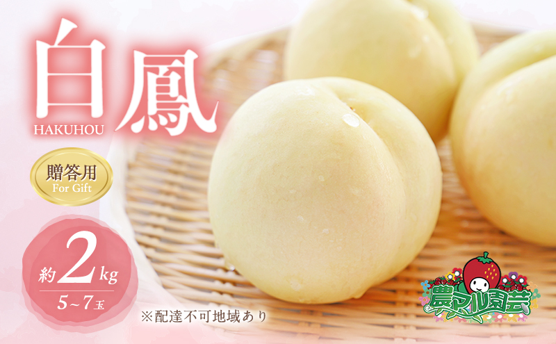 桃 2025年 先行予約 白桃 白鳳 約2kg 5～7玉 贈答用 もも モモ フルーツ 果物 岡山 赤磐市産 農マル園芸 あかいわ農園