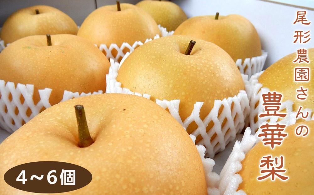 尾形農園の豊華梨(ゆたかなし)（1）【5～6玉入り】