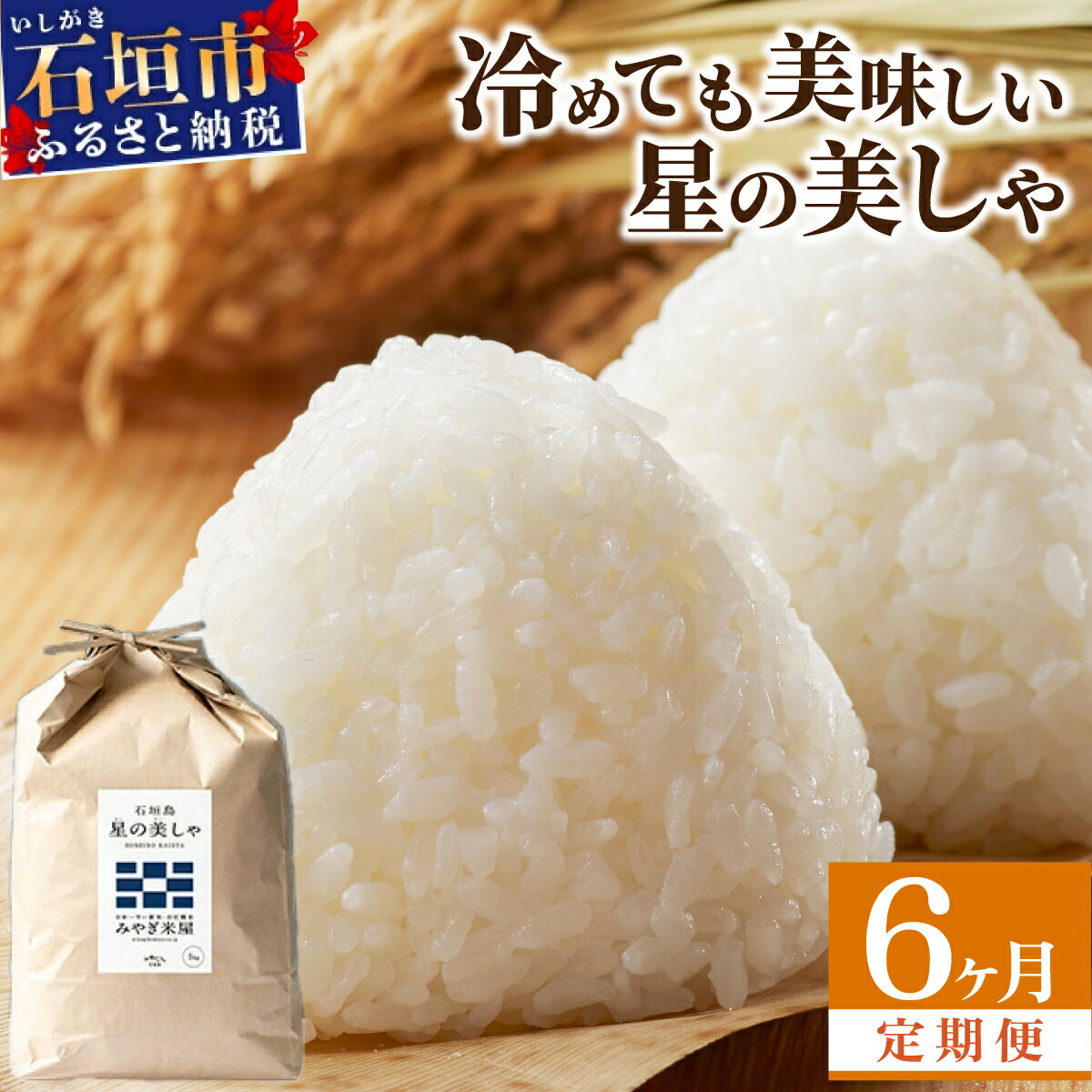 【ふるさと納税】6カ月連続お届け 日本一早い新米の産地より 石垣島産 星の美しゃ (ほしのかいしゃ) 30kg (5kg×6袋) ＜石垣島認定特産品＞ | 沖縄県 石垣市 石垣島 米 星 星の美しゃ MK-7