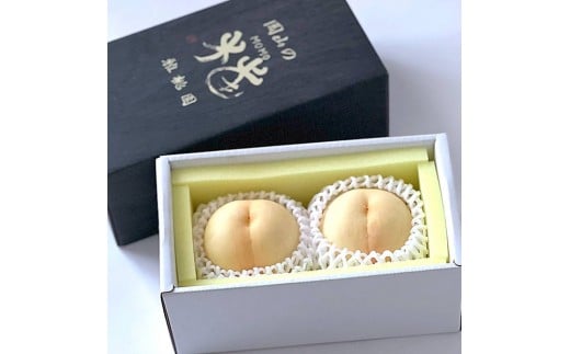 桃 2026年   岡山 白桃 2玉  もも 岡山県産 国産 フルーツ 果物 ギフト 雅桃園