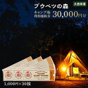 【ふるさと納税】キャンプ場 利用補助券 ブウベツの森 北海道 白老町 （30,000円分）キャンプ場 レジャー アウトドア 施設 チケット 利用補助券 北海道ふるさと納税 白老 ふるさと納税 北海道 体験