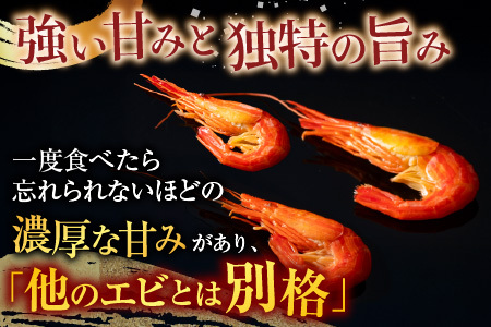 【北海道根室産】ボイル北海シマエビ600g B-42086