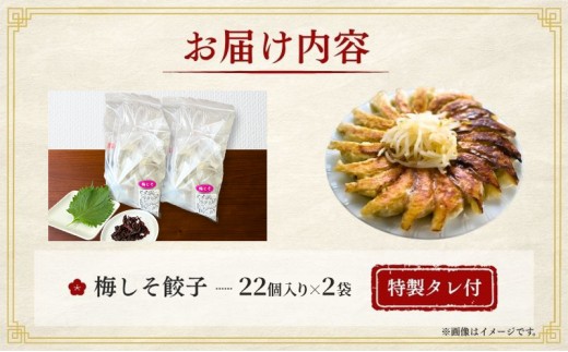 梅しそ餃子44個(22個×2袋)6か月連続お届け 餃子 冷凍餃子 冷凍ギョーザ 手作り餃子 ギョーザ 点心 中華 中華料理 惣菜 簡単調理 加工食品 静岡県 森町