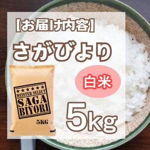 CI431_さがびより白米５㎏ 【五つ星お米マイスター厳選！】