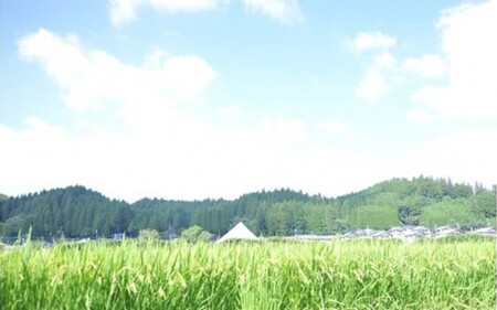 令和７年産・新米 南小国町産のお米あきげしき ４kg 南小国産 精米 玄米 米 白米 お米 ご飯 産地直送 SMO南小国 熊本 阿蘇 南小国町 送料無料