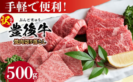 【訳あり】おおいた豊後牛 焼肉 切り落とし 500g 日田市 / 株式会社MEAT PLUS　牛 うし 黒毛和牛 和牛 豊後牛 [AREI032]